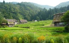 an old village in the middle of a green valley surrounded by trees and mountains with grass roofs