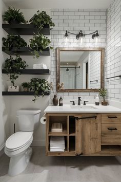 a bathroom with a toilet, sink and plants on the shelves above it in front of a mirror