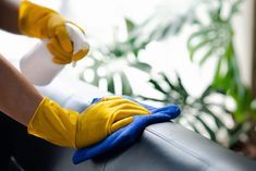 a person in yellow gloves and rubber gloves cleaning a black couch with a blue rag