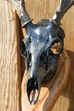 an animal's skull on a wooden stand