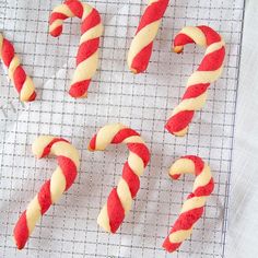 red and white candy cane cookies on a cooling rack