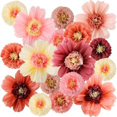 a bunch of pink and yellow flowers on a white background