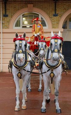 two white horses pulling a carriage with a man in uniform on it's back