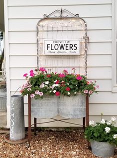 flowers are growing in buckets on the side of a house with a sign that says fresh cut flowers