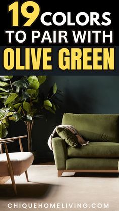 an olive green couch and chair with the text 19 colors to pair with olive green