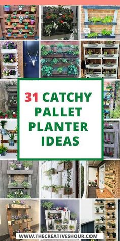 the words catchy pallet planter ideas are overlaid with images of different plants