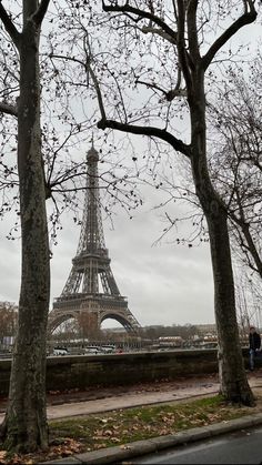 the eiffel tower is seen through some trees