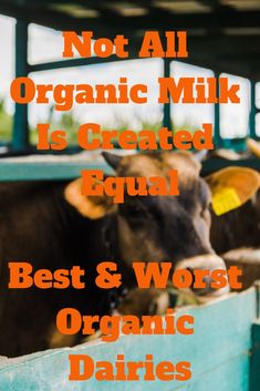 two cows in a pen with the words not all organic milk is created equal best & worst organic dairys