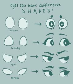 eyes can have different shapes and sizes