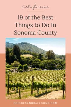 the best things to do in sonoma county, california with text overlaying it