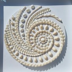 an intricately designed piece of art made out of seashells on a white background