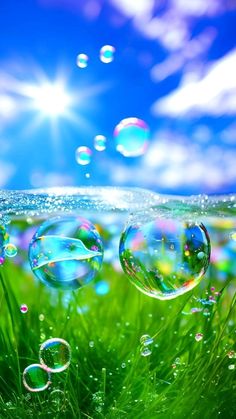 bubbles floating in the air on top of green grass with blue sky and clouds behind them