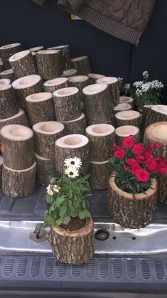 several wooden logs with flowers in them sitting on the back of a truck bed,