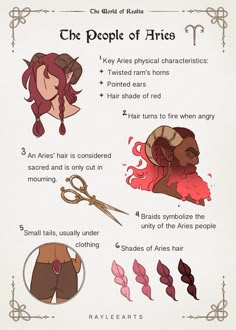 an info sheet describing the different types of hair and how to cut it with scissors