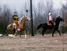 two people are riding horses in the woods