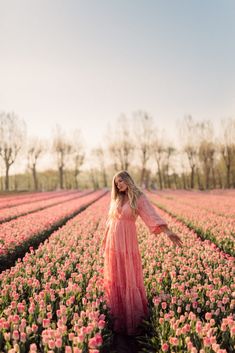 a woman in a pink dress standing in a field of tulips with her arms outstretched