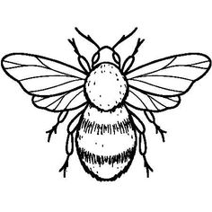 a black and white drawing of a bee