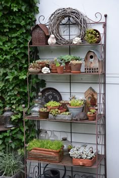 a shelf filled with potted plants next to a wall