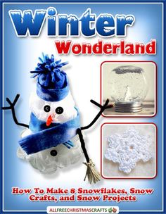 the book is about how to make snowflakes, snow crafts and snow projects