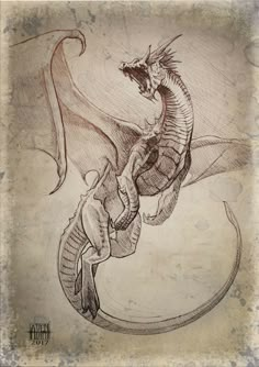 a drawing of a dragon on paper