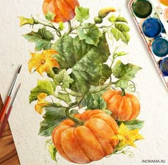 a watercolor painting of pumpkins and sunflowers on a white paper with paintbrushes next to it