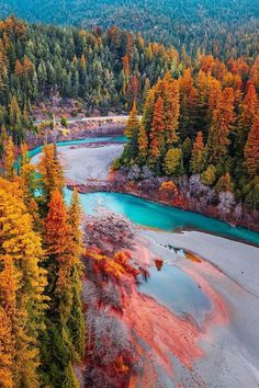 an aerial view of a river surrounded by trees with red, yellow and green leaves