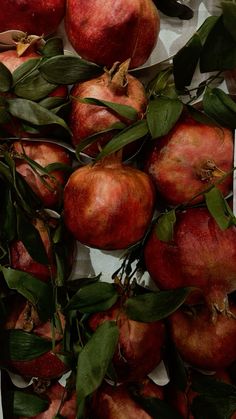 an arrangement of red apples with leaves on them