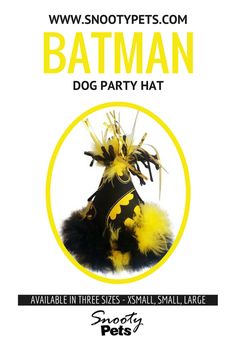 a flyer for a dog party with the words batman written in black and yellow on it