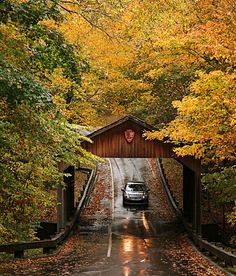 a car is parked under a covered bridge in the fall season with leaves on the ground