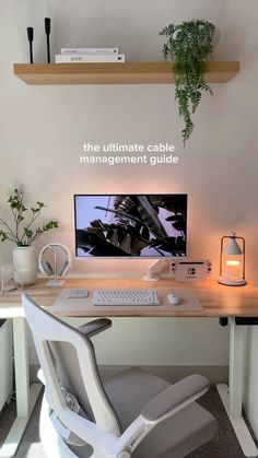 a desk with a computer on top of it and a plant in the corner next to it