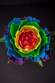 a multicolored flower with green leaves on it