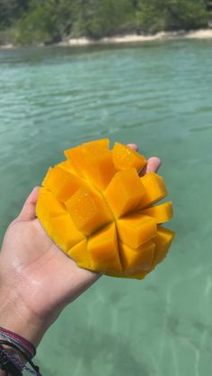 a person holding up a piece of fruit in their hand near the water's edge