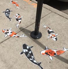 several koi fish painted on the ground next to a parking meter