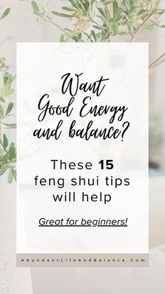 a plant with the words what good energy and balance? there are 15 fengshu tips to help great for beginners