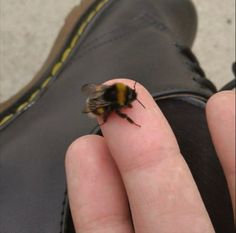 a close up of a person's finger with a bee on it