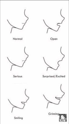 the different types of nose shapes