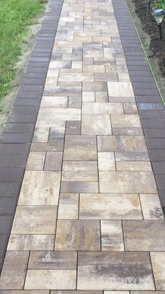 a dog is standing on a brick walkway