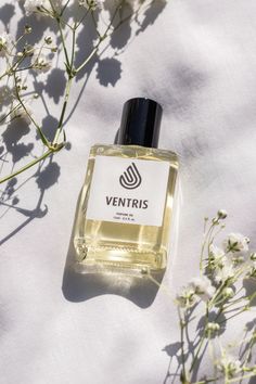 Massage anyone?♥️ Mix a couple of drops into a small bottle of baby oil and you're on your way to creating the perfect atmosphere for a soothing and relaxed evening😍 Both perfumes and massage have their own amazing benefits so why not put them together🔥 🏛️ Ventris Notes 🍍 𝗧𝗼𝗽 - Pineapple, Bergamot, Black Currant 𝗠𝗶𝗱𝗱𝗹𝗲 - Patchouli, Morrocan Jasmine, Birch 𝗕𝗮𝘀𝗲 - Ambergris, Musk, Oak Moss Black Currant, Black Currants, Small Bottles, Baby Oil, Pineapple, A Couple