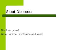 seed dispensal the four types water, animal, explison and wind