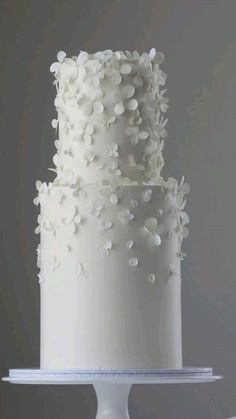 a three tiered cake with white frosting flowers on the top and bottom layer