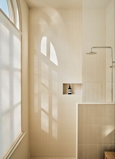 a bathroom with a shower, toilet and window