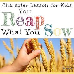 a hand holding wheat stalks with the words, character lesson for kids you reap what you sow