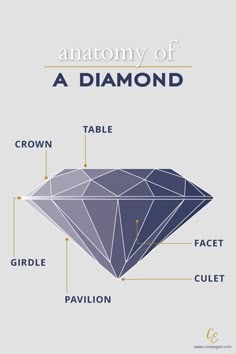 Diamond Infographic, Diamond Chart, Gemstones Chart, Jewelry Knowledge, S Table, Jewelry Education