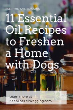 bottles of essential oils with the words 11 essential oil recipes to freshen a home with dogs