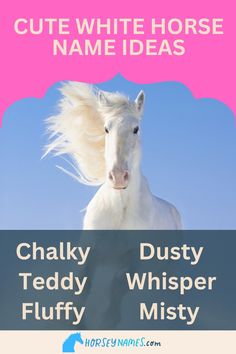 a white horse with its hair blowing in the wind and text that reads cut white horse name ideas