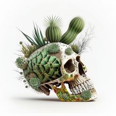 a skull with cactuses and succulents on it's head is shown