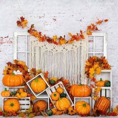 an arrangement of pumpkins and other autumn decorations