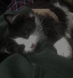 a black and white cat laying on top of a person's lap next to a green blanket