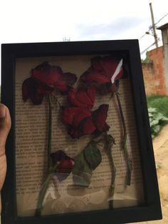 a person holding up a framed photo with red roses in it's shadow on an old book