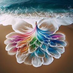 a person standing on the beach next to an ocean with a rainbow colored flower in it's center